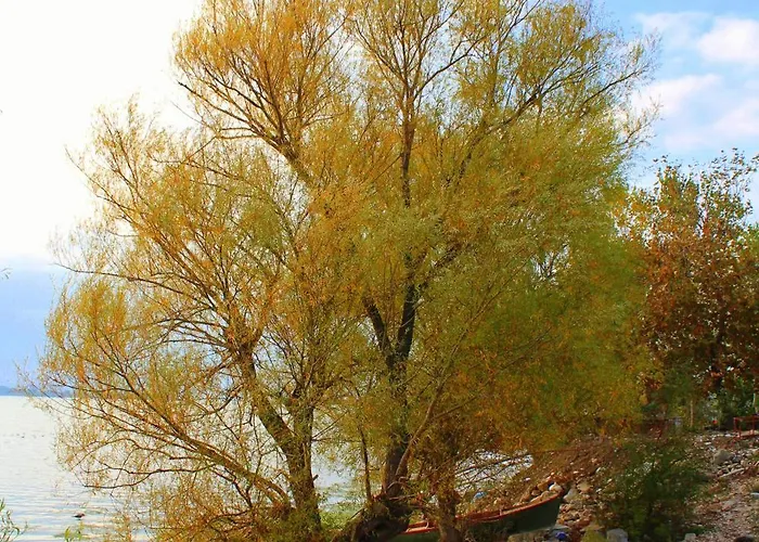 Szálloda Kavala Bursa